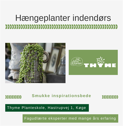 Hængeplanter indendørs Køge