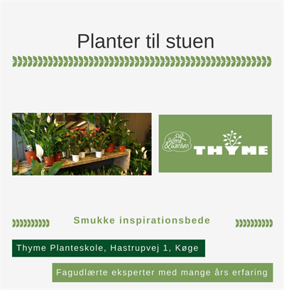 Planter til stuen Køge