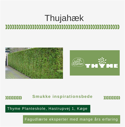 Thujahæk Køge