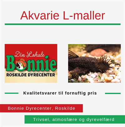 Akvarie L-maller Roskilde Bonnie Dyrecenter 