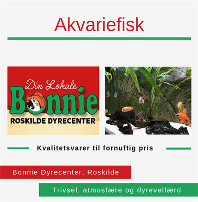 Akvariefisk Roskilde