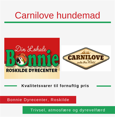 Carnilove hundemad Roskilde