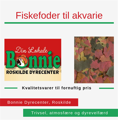 Fiskefoder til akvarie Roskilde Bonnie Dyrecenter
