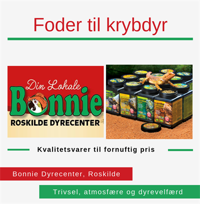 Foder til krybdyr, Bonnie Dyreforretning, Roskilde