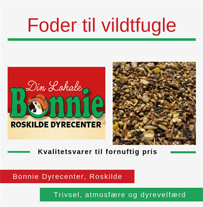 Foder til vildtfugle, Bonnie Dyrecenter, Roskilde